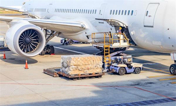 International Air Cargo